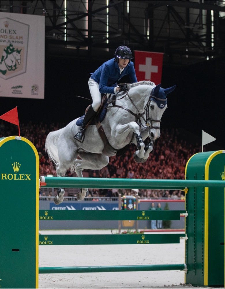 Horse performing show jumping